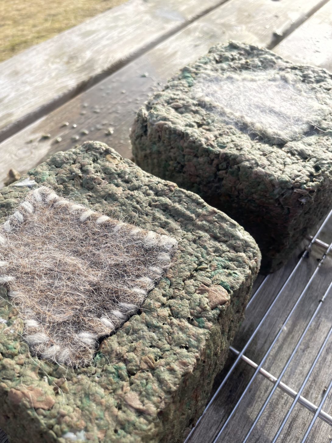 Green paper pulp molds with wool forms inside them on a picnic table