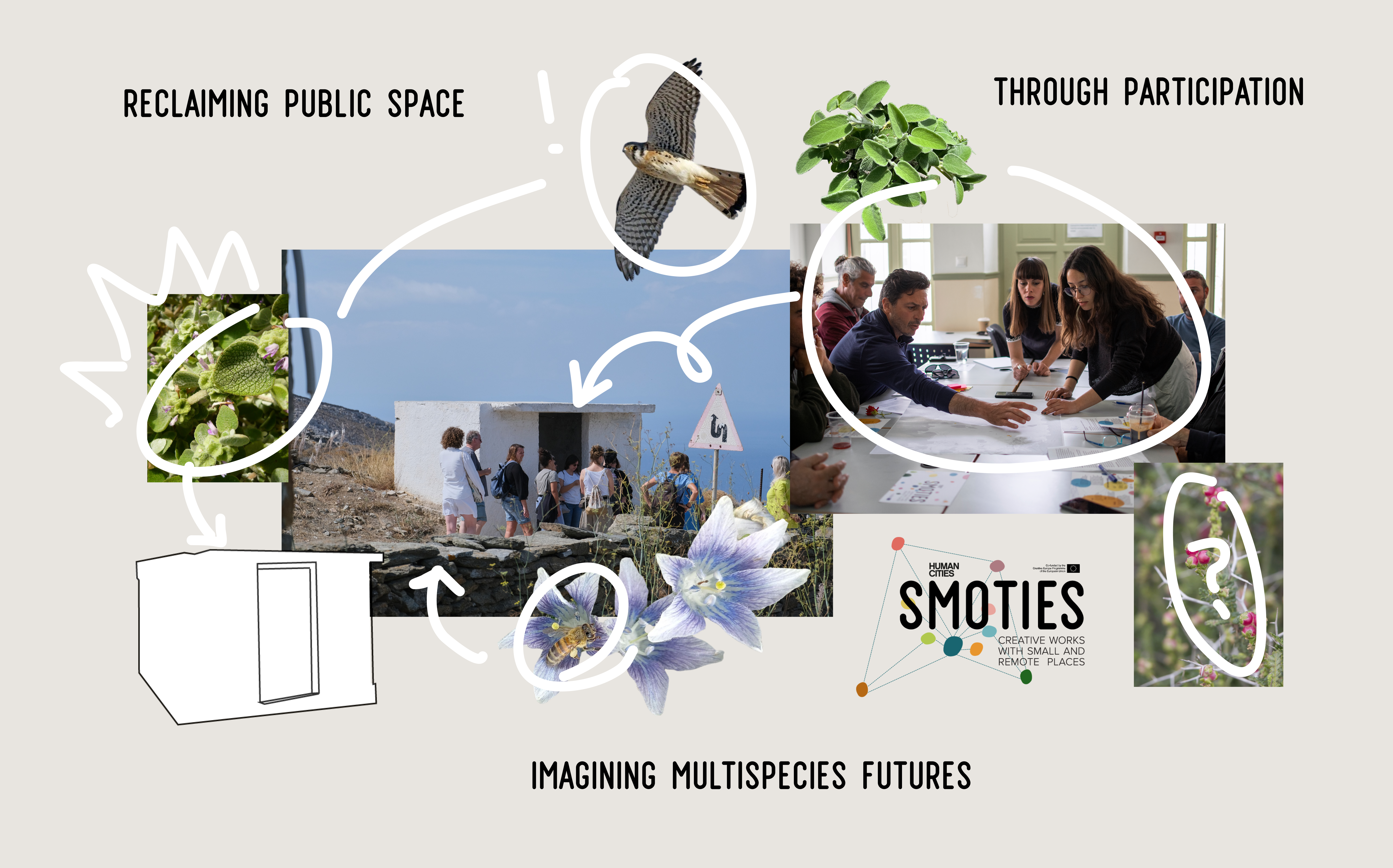 a collage of places, plants, people, animals with arrows representing relations and systemic design processes