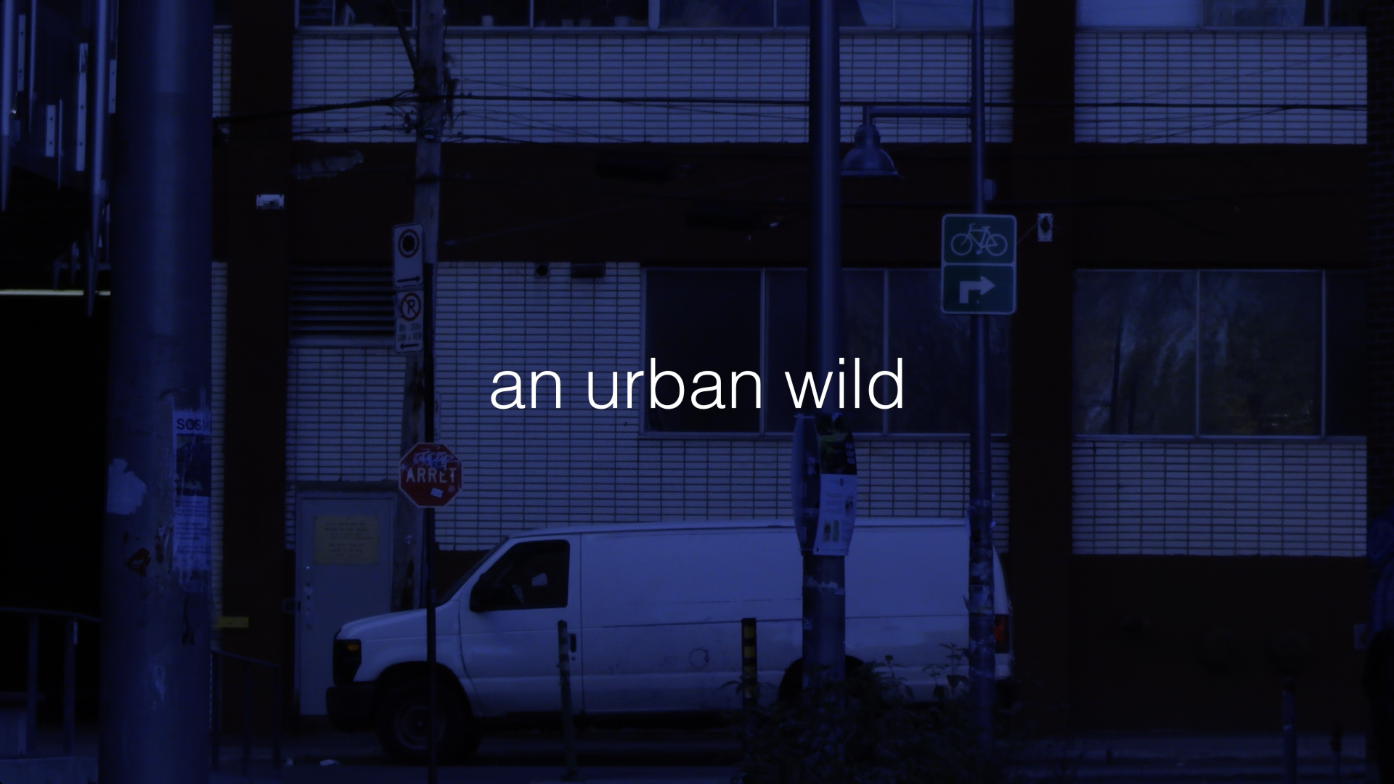 a city street with cars and pedestrians, and the title an urban wild.