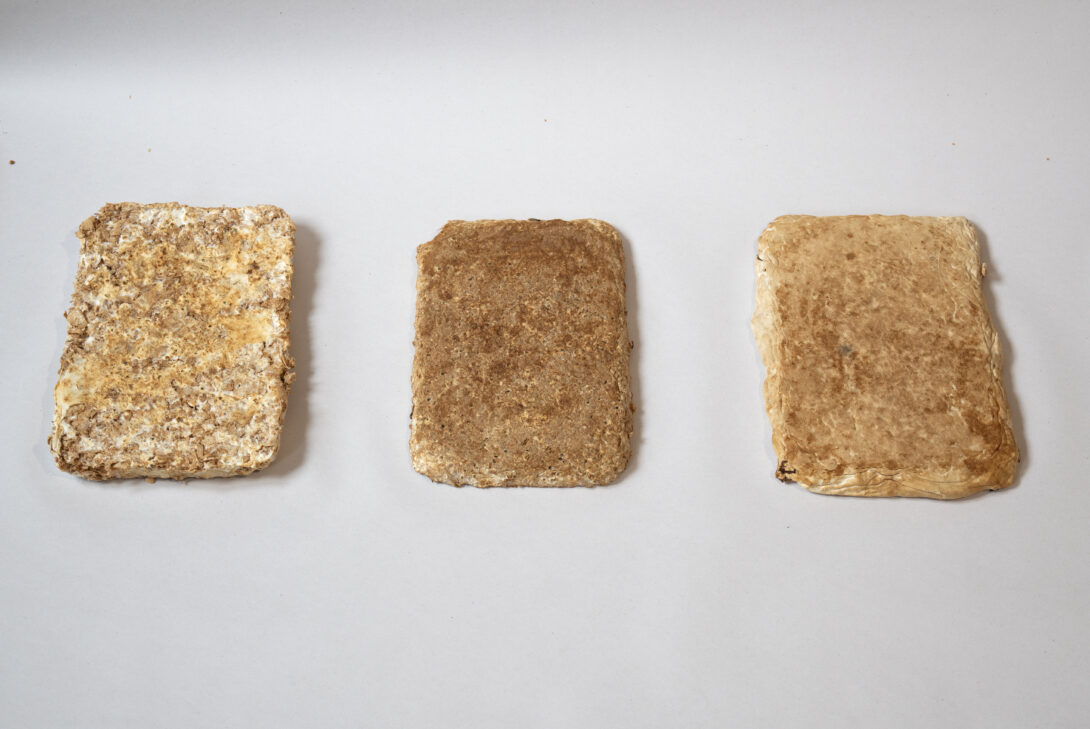 three test plates for mycelium material, with fabric reinforcement, heat-compressed